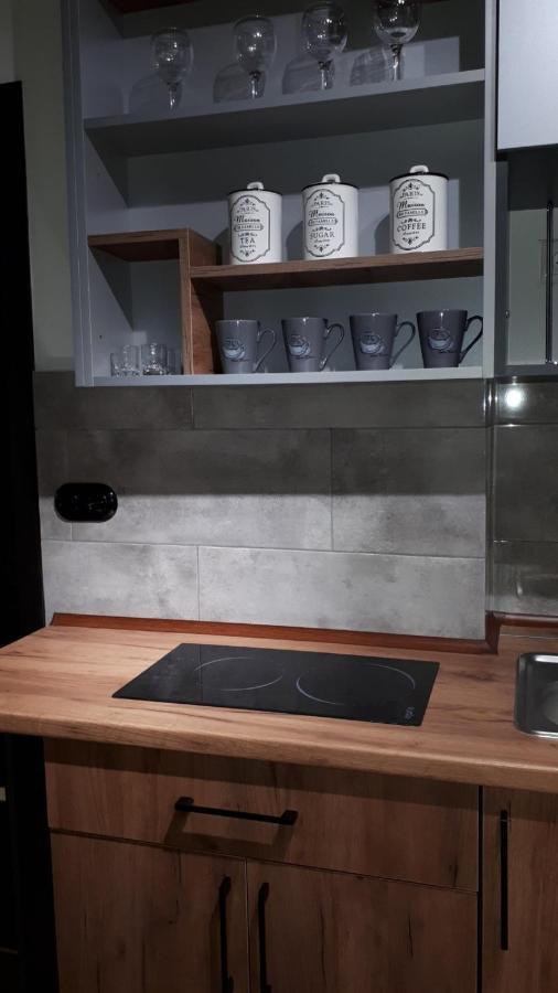 Loft апартаменти з балконом в центрі Львова Екстер'єр фото